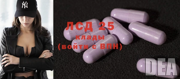 крисы Осташков