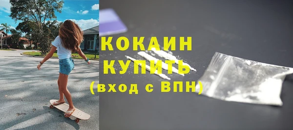 крисы Осташков