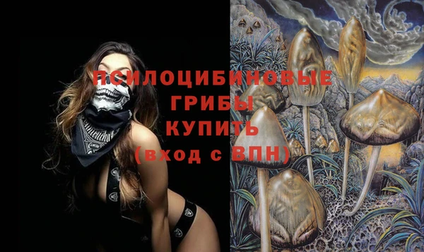 прущая мука Осинники