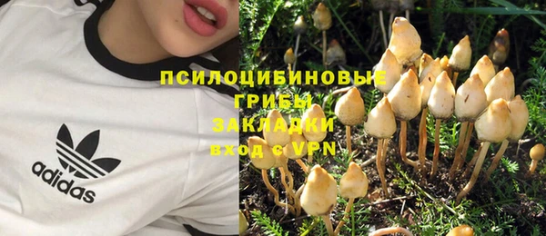 прущая мука Осинники