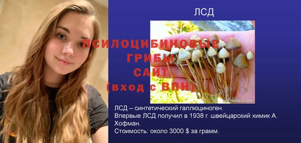 прущая мука Осинники