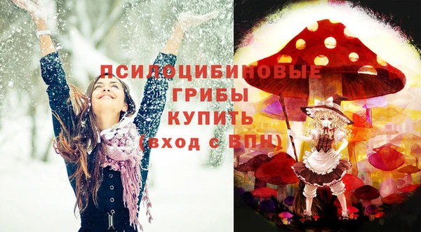 прущая мука Осинники