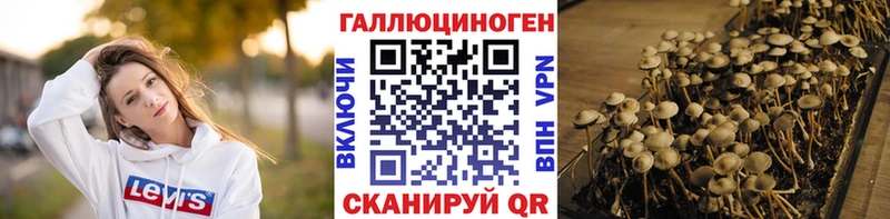 купить наркотики сайты Соликамск ОМГ ОМГ зеркало Галлюциногенные грибы прущие грибы